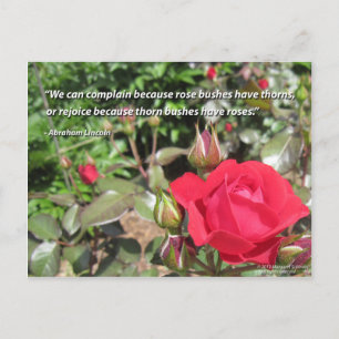 Cartão Postal Cartão-postal de rosa vermelha com cotação de grat