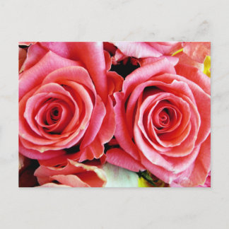 Cartão Postal Cartão-postal de Rosas
