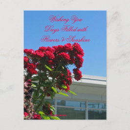 Cartão Postal Cartão-postal de Rosas de Paciência