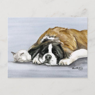 Cartão Postal Cartão-postal de santo Bernard & Kitten Dog