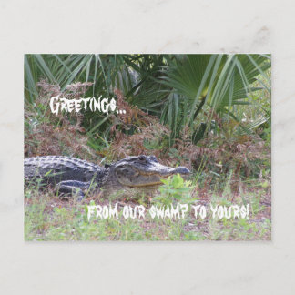 Cartão Postal Cartão-postal de saudações do Alligator