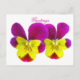 Cartão Postal Cartão-postal de saudações Feliz Pansy