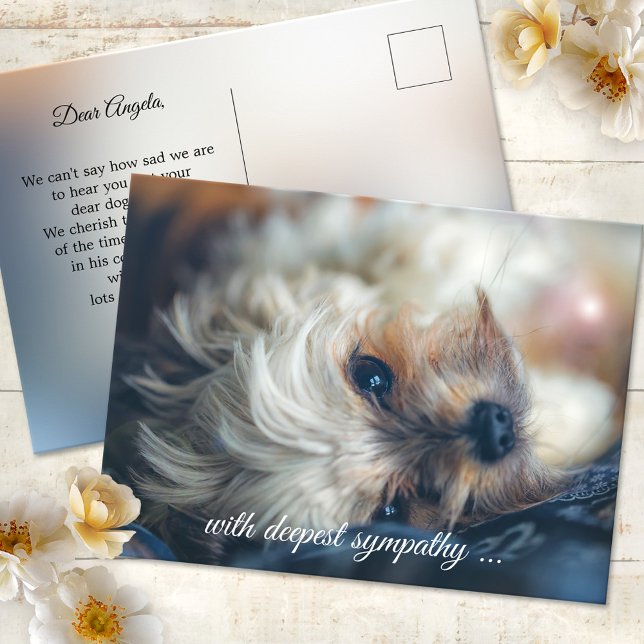 Cartão Postal Cartão-postal de simpatia por cães (Postcard featuring an image of a dog in a dreamy light. Use a custom photo for sympathy greetings)
