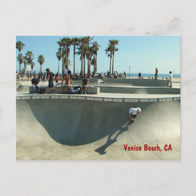 Cartão Postal Cartão-postal de Skate de Venice Beach! (Frente)