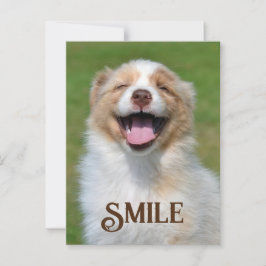 Cartão Postal Cartão-postal de sorriso engraçado para o cão-de-p