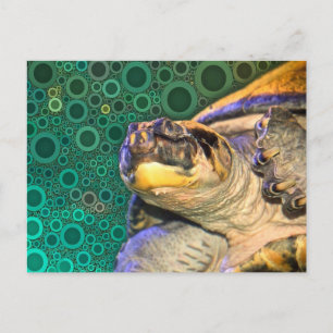Cartão Postal Cartão-postal de tartaruga marinha feliz