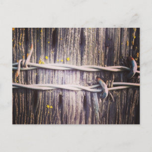 Cartão Postal Cartão-postal de Textura com Fio e Oak Barbed