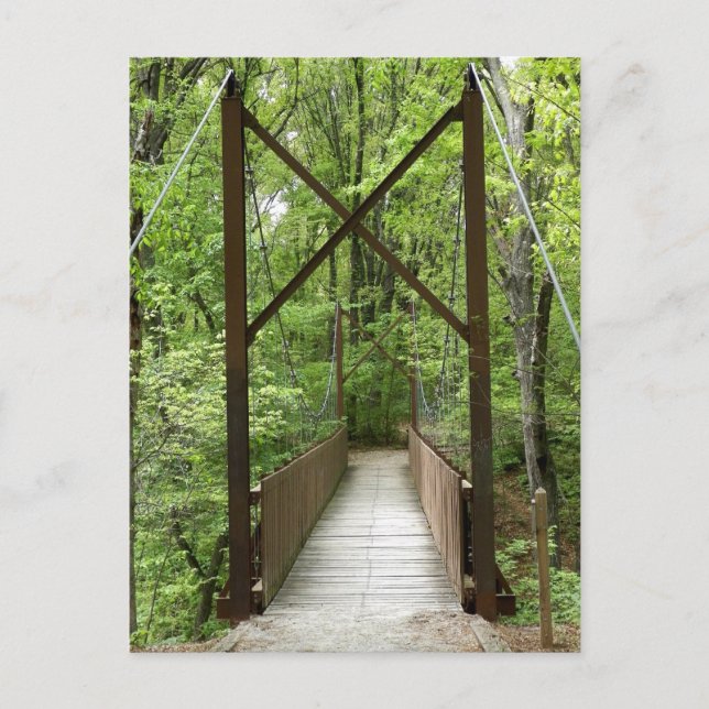 Cartão Postal Cartão-postal de Transições da Vida (Frente)