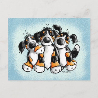 Cartão Postal Cartão-postal de três cães de montanha Bernese eng