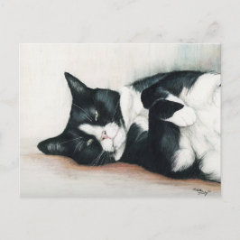 Cartão Postal Cartão-postal de "Tuxedo Cat"