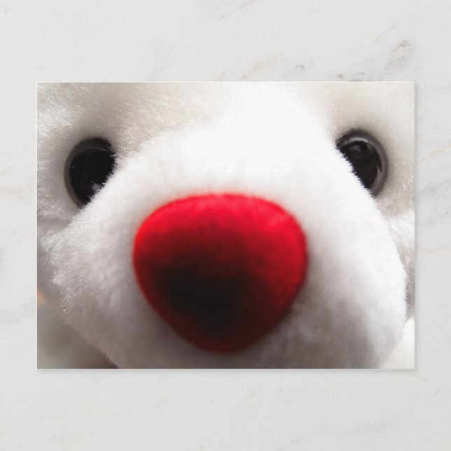 Cartão Postal Cartão-postal de Urso Doce (Frente)
