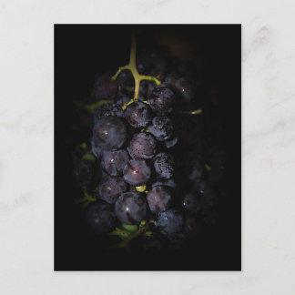Cartão Postal Cartão-postal de Uvas Roxas
