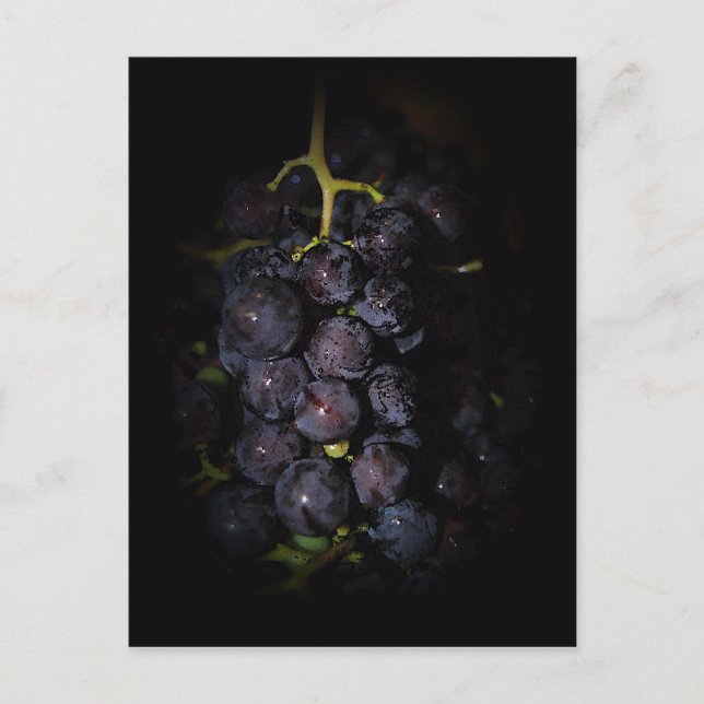 Cartão Postal Cartão-postal de Uvas Roxas (Frente)