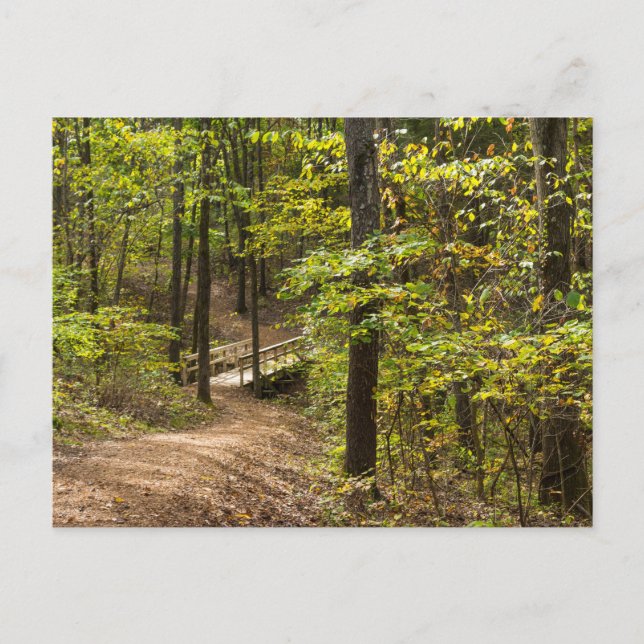 Cartão Postal Cartão-postal de via de execução (Frente)