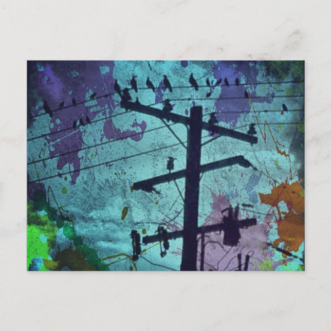 Cartão Postal Cartão-postal de vida da Bird Urbana (Frente)