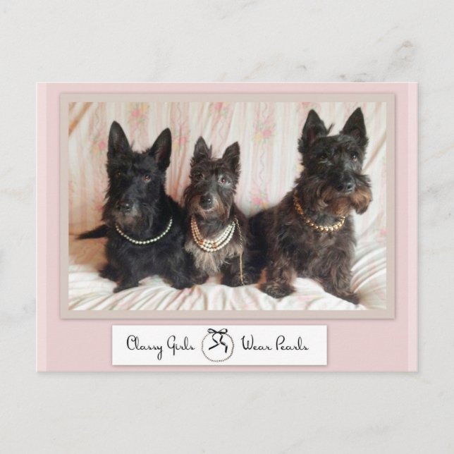 Cartão Postal Cartão-postal de Visto de Meninas Clássicas (Frente)