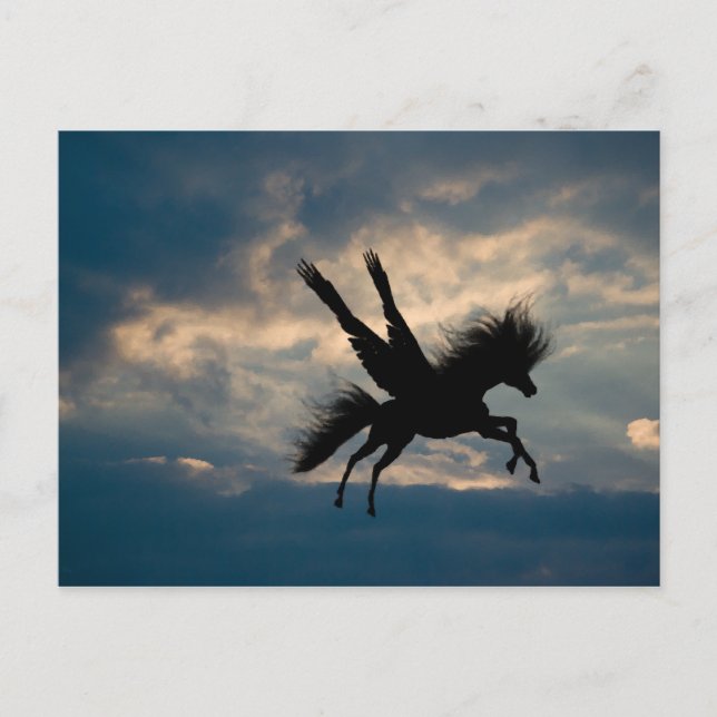 Cartão Postal Cartão-postal de voo noturno (Frente)