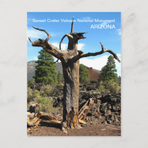 Cartão Postal Cartão-postal de vulcão de cratera sunset!