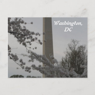 Cartão Postal Cartão-postal de Washington, DC