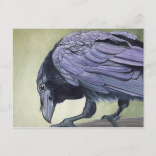Cartão Postal Cartão-postal de Watercolor Raven