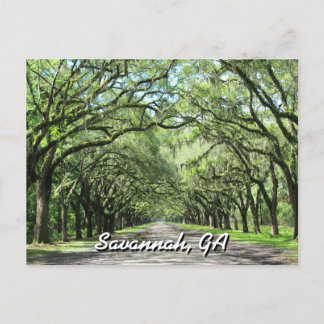 Cartão Postal Cartão-postal de Wormsloe Plantation Savannah