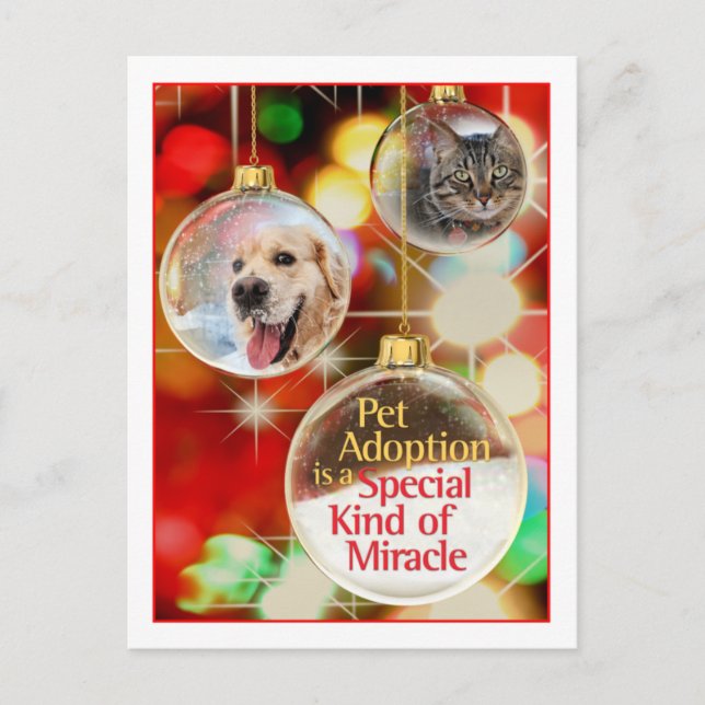 Cartão Postal cartão-postal-decorativo (Frente)