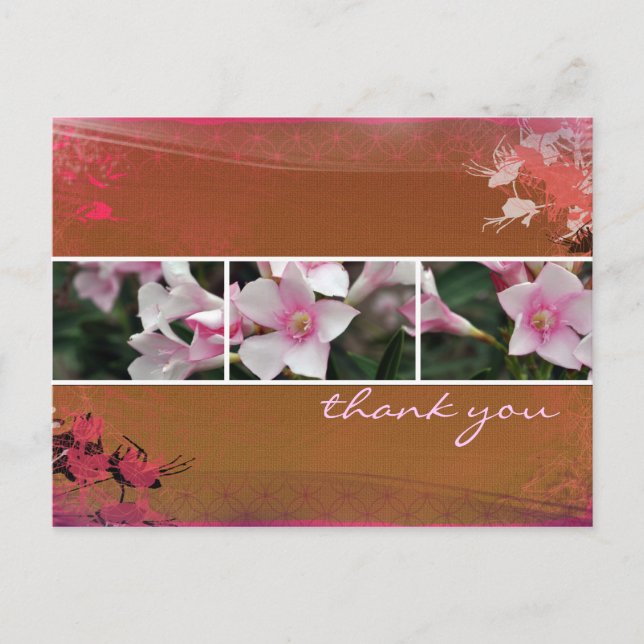 Cartão Postal Cartão-postal DesertBotanicals - castanho (Frente)