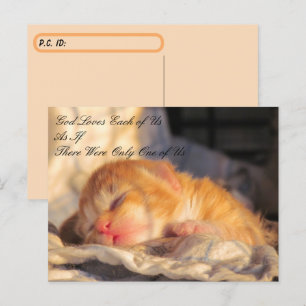 Cartão Postal Cartão-postal - Deus nos ama com Kitten