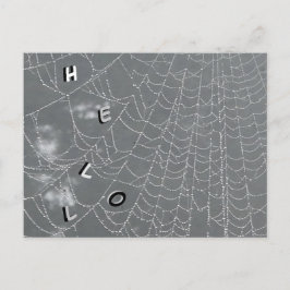 Cartão Postal Cartão-postal Dew Drops Spider Web HELLO