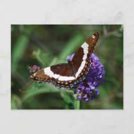 Cartão Postal Cartão-postal do Almirante Branco