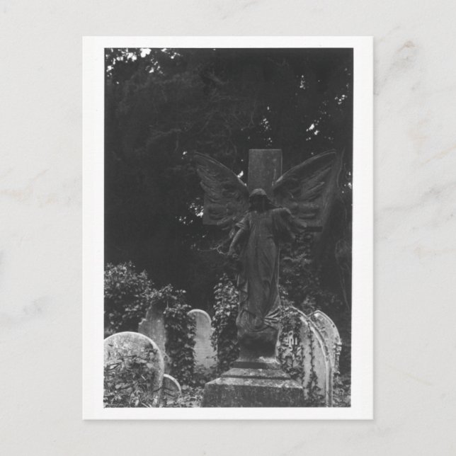 Cartão Postal Cartão-postal do antigo Cemitério Angel Statue (Frente)