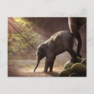 Cartão Postal Cartão-postal do Baby Elephant