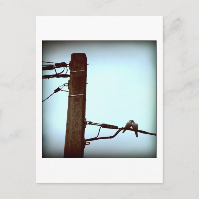 Cartão Postal Cartão-postal do BEIJO (Frente)