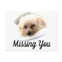 Cartão-postal do Cachorro Adorável Ausente