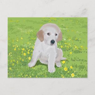 Cartão Postal Cartão-postal do Cachorro Puppy para Retriever do