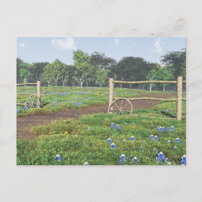 Cartão Postal Cartão-postal do Campo Bluebonnets (Frente)