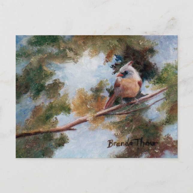 Cartão Postal Cartão-postal do Cardeal Bebês (Frente)