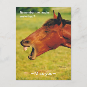 Cartão Postal Cartão-postal do cavalo Laughing