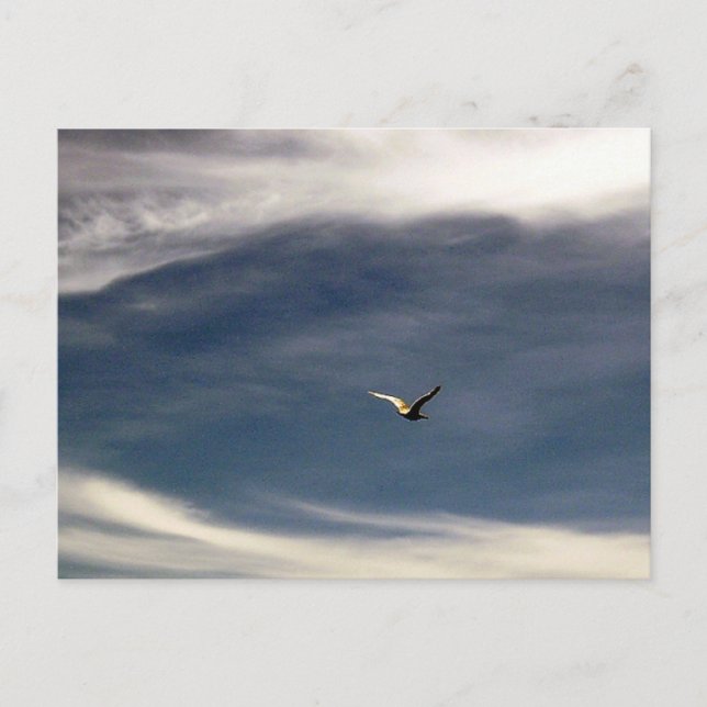 Cartão Postal Cartão-postal do Céu Estéril (Frente)
