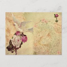 Cartão Postal Cartão-postal do Chique Vintage White Dove