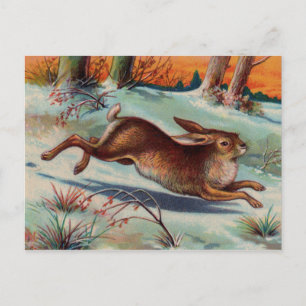 Cartão Postal Cartão-postal do Coelho de dezembro