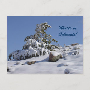 Cartão Postal Cartão-postal do Colorado
