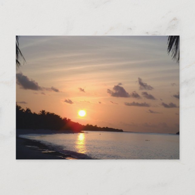 Cartão Postal Cartão-postal do conjunto Sun (Frente)