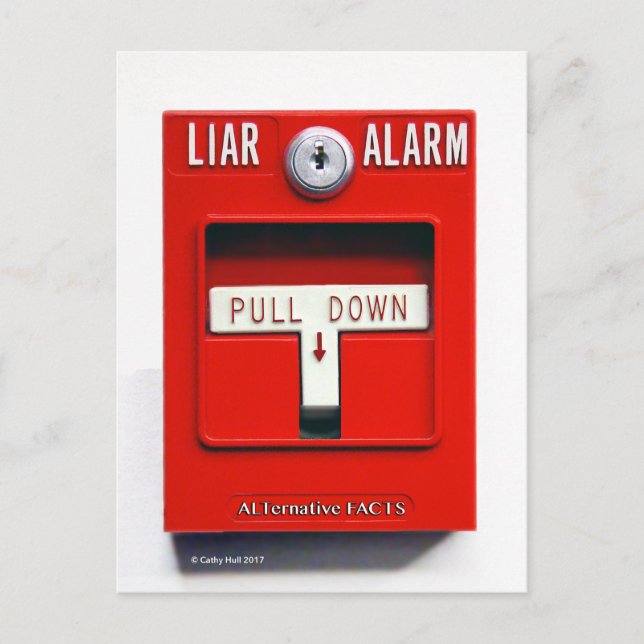 Cartão Postal Cartão-postal do Contato Donald J. Trump Fire (Frente)