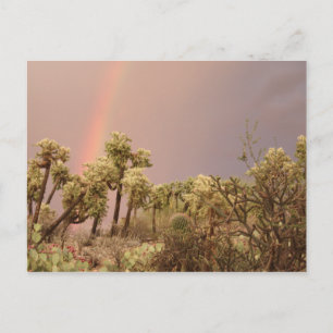 Cartão Postal Cartão-postal do Desert Rainbow
