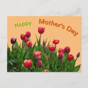 Cartão Postal Cartão-postal do Dia de as mães das Tulipas Púrpur