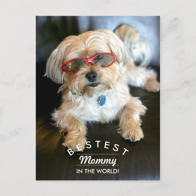 Cartão Postal Cartão-postal do Dia de as mães de cães personaliz (Frente)