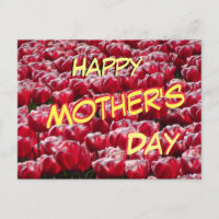 Cartão-postal do Dia de as mães Padrão Tulipas Bra
