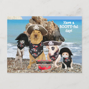 Cartão Postal Cartão-postal do Dia de Pirata de Pet Engraçado