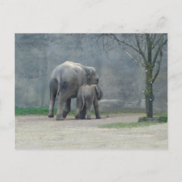 Cartão Postal Cartão-postal do Elefante do Amor da Mãe
